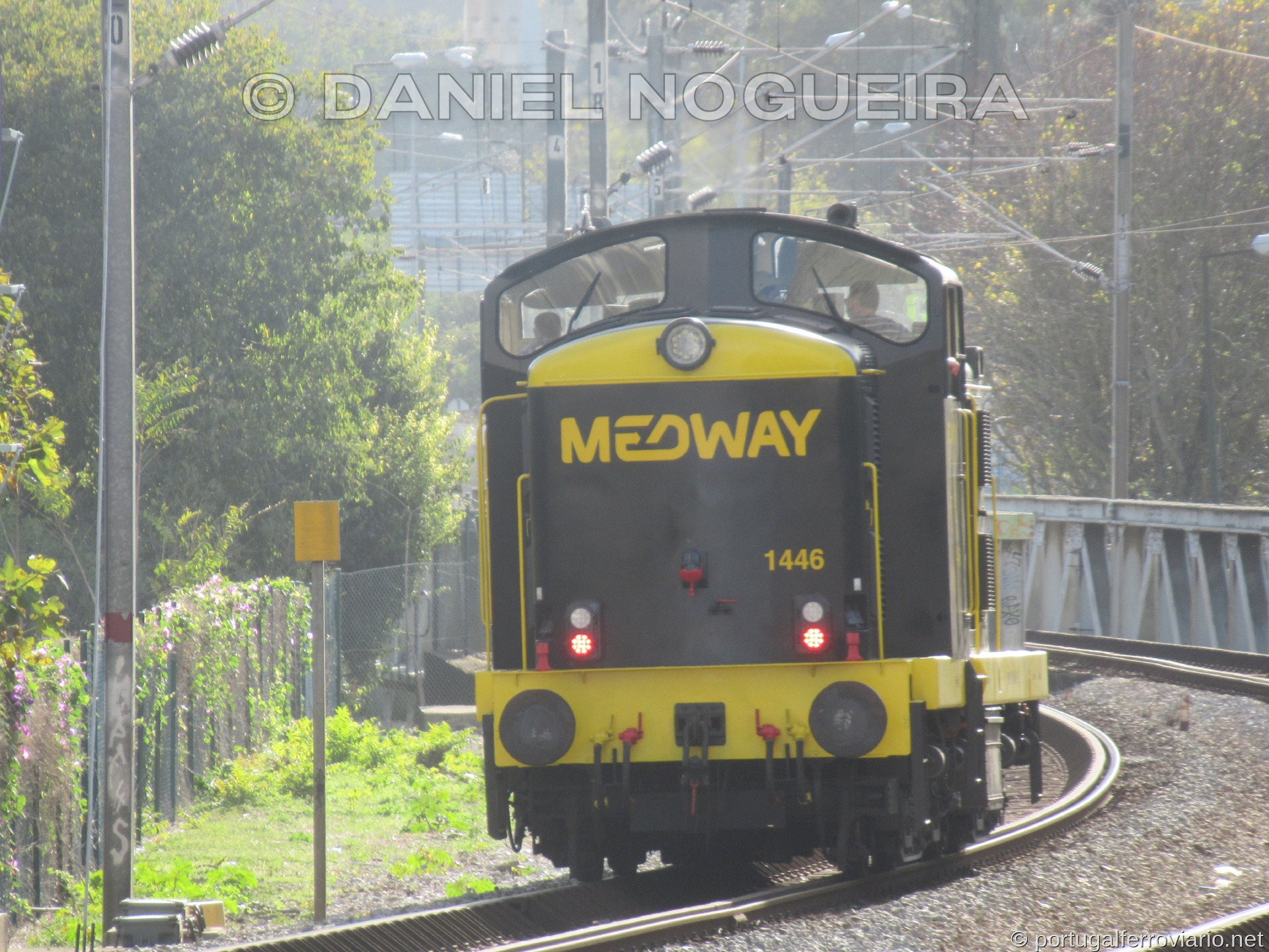 Medway 1446