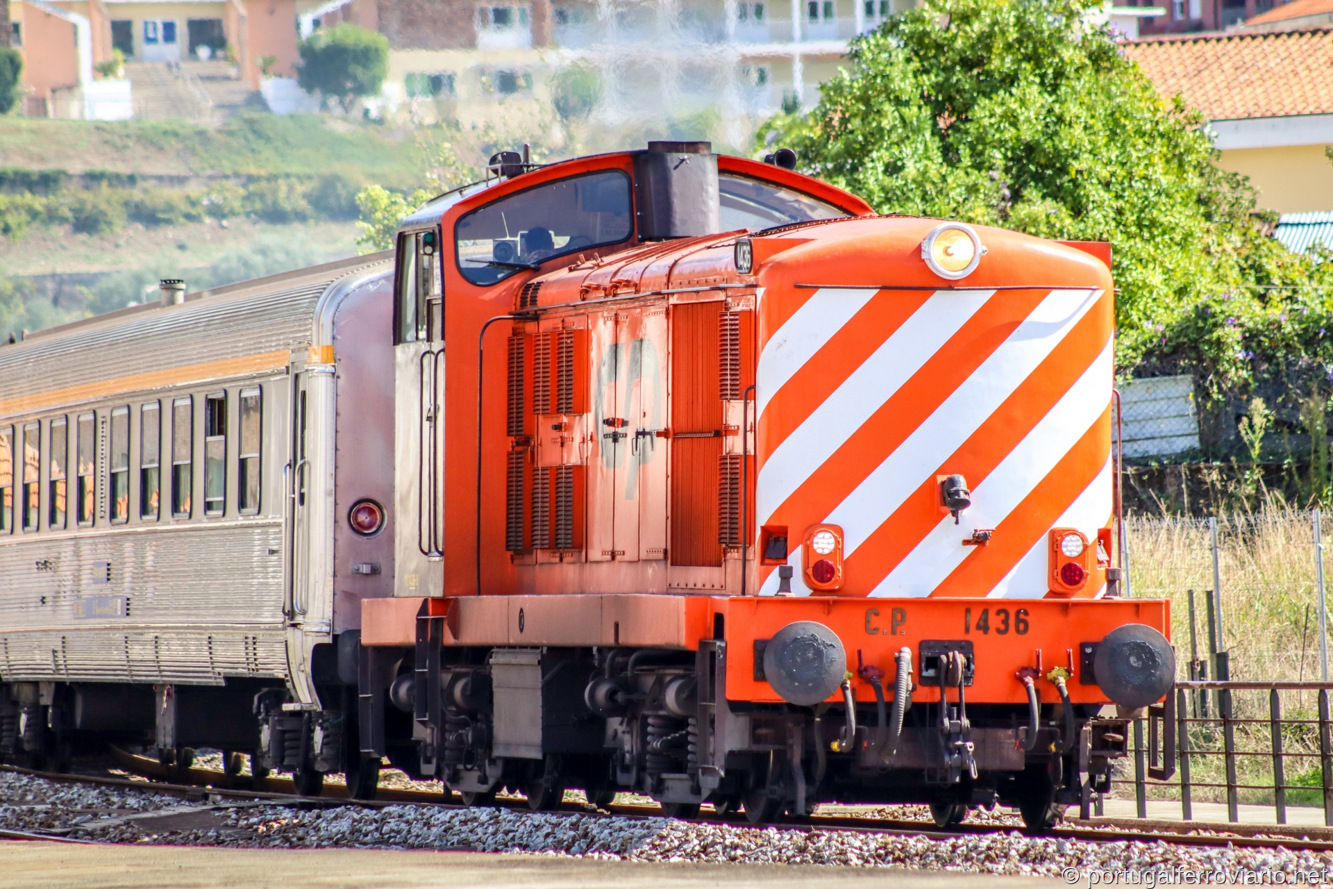 CP 1436