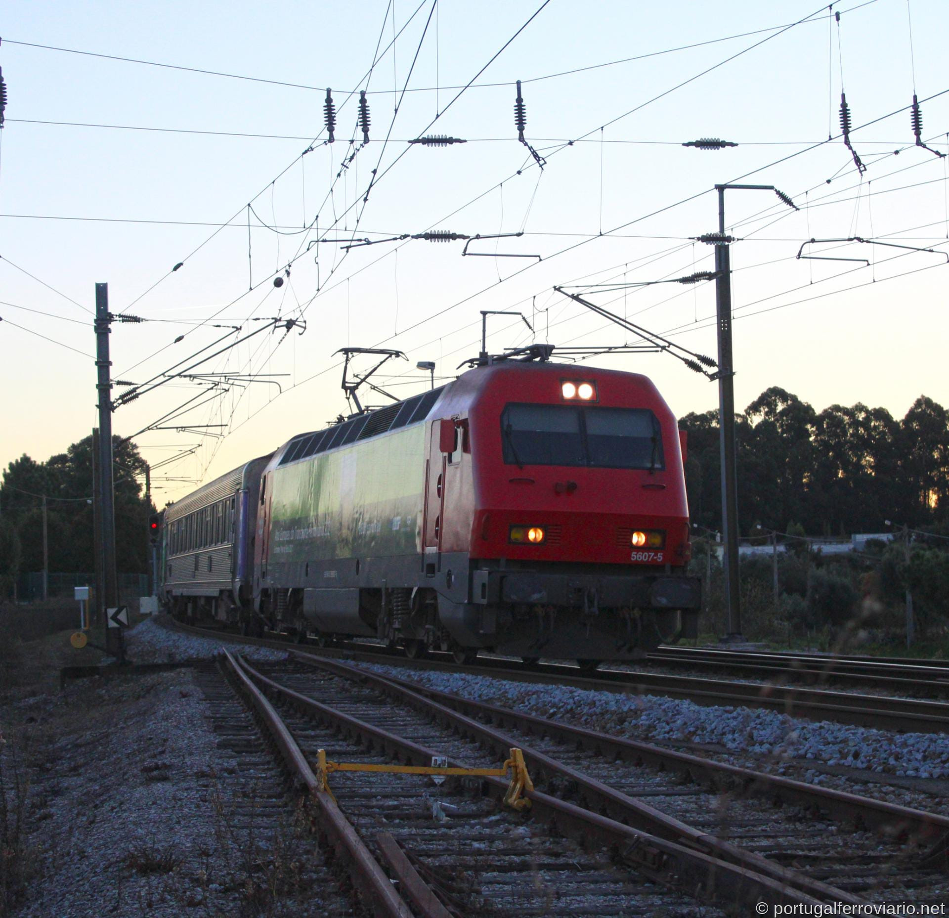 LE 5607