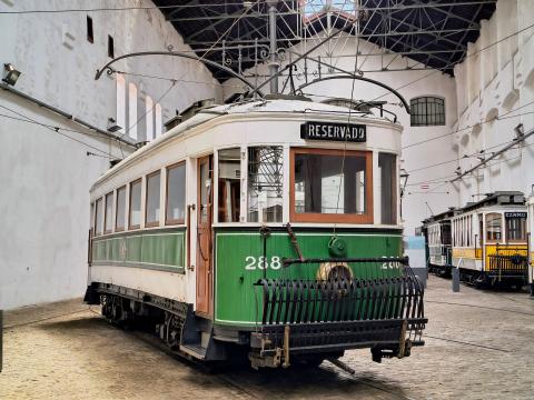 Belga de 40 Lugares
