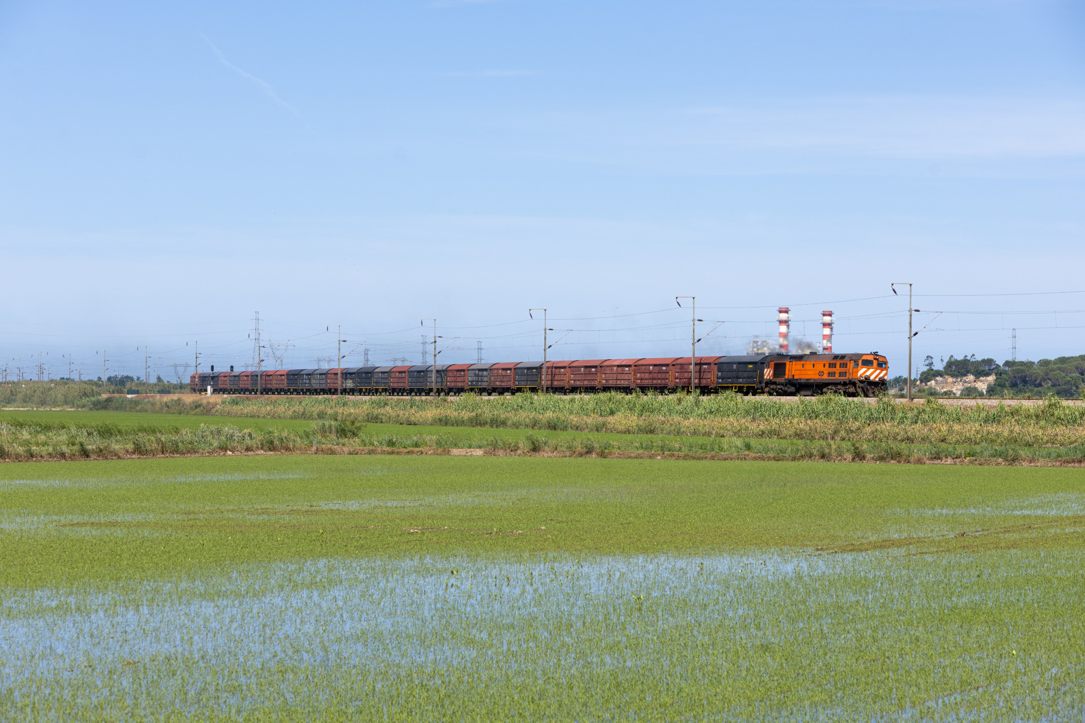 nunocortesao · 05/06/2026