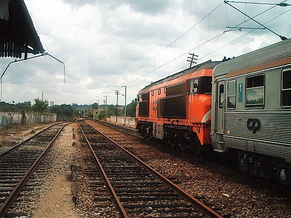 1069004 Alvega-Ortiga