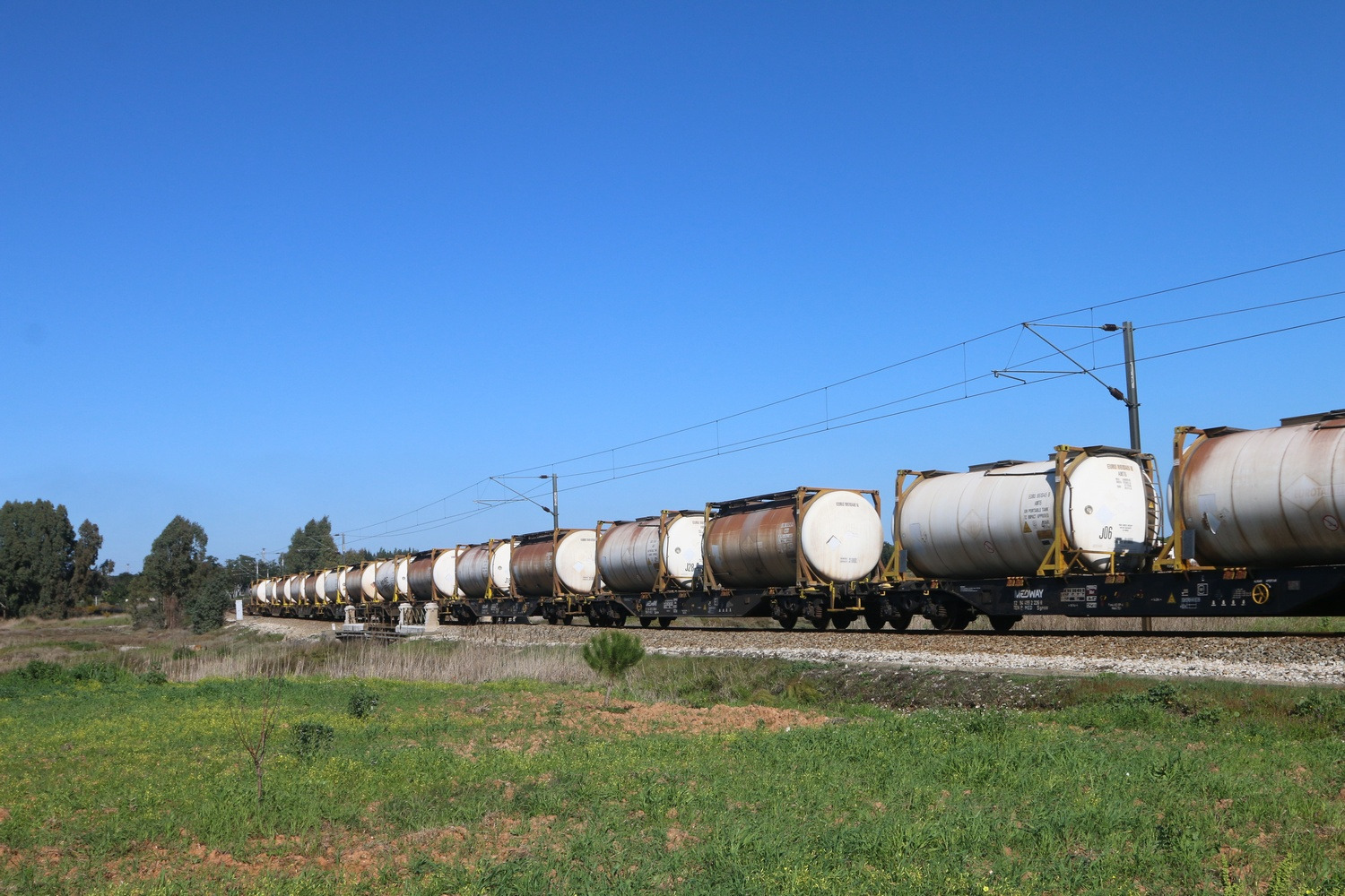 Pontes, 2019