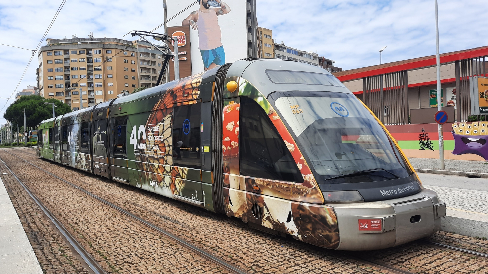 MP 065 em Camara de Matosinhos com pub 40 anos parque biologico de Gaia Junho 2023