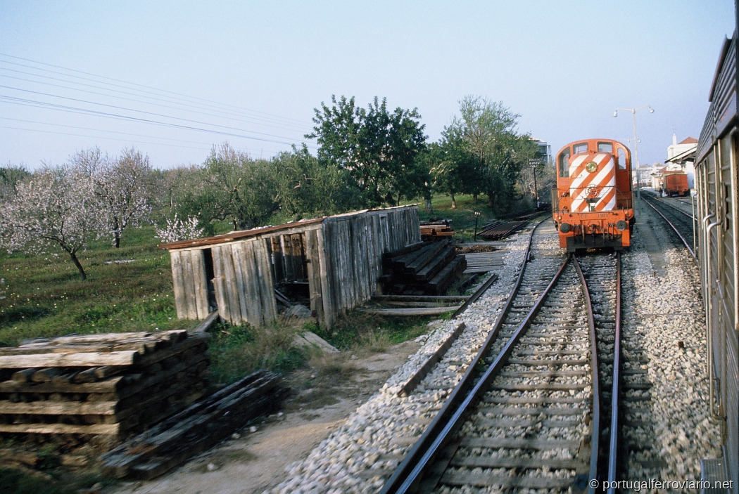 1503 Tavira