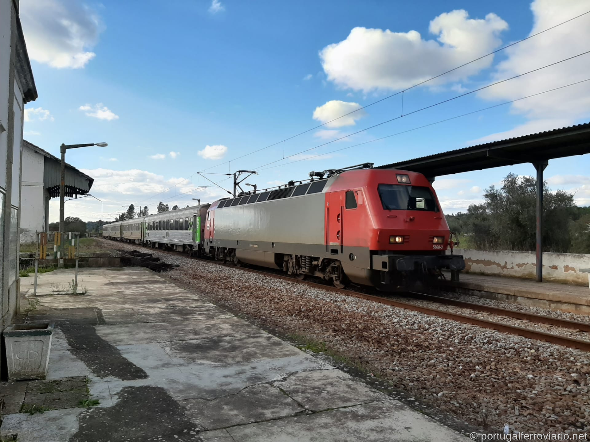 5608 Alvega-Ortiga