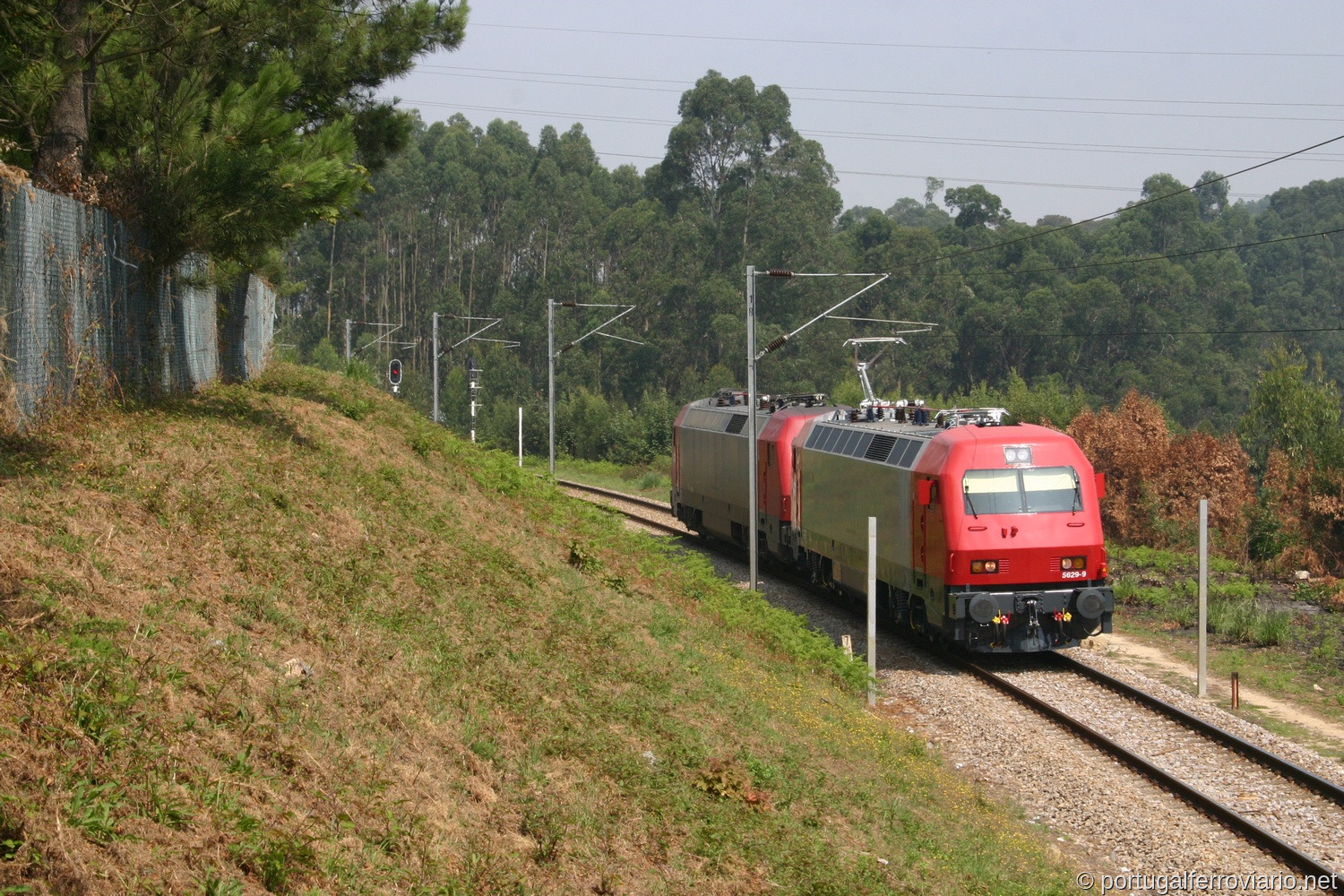 5629 em Guifões