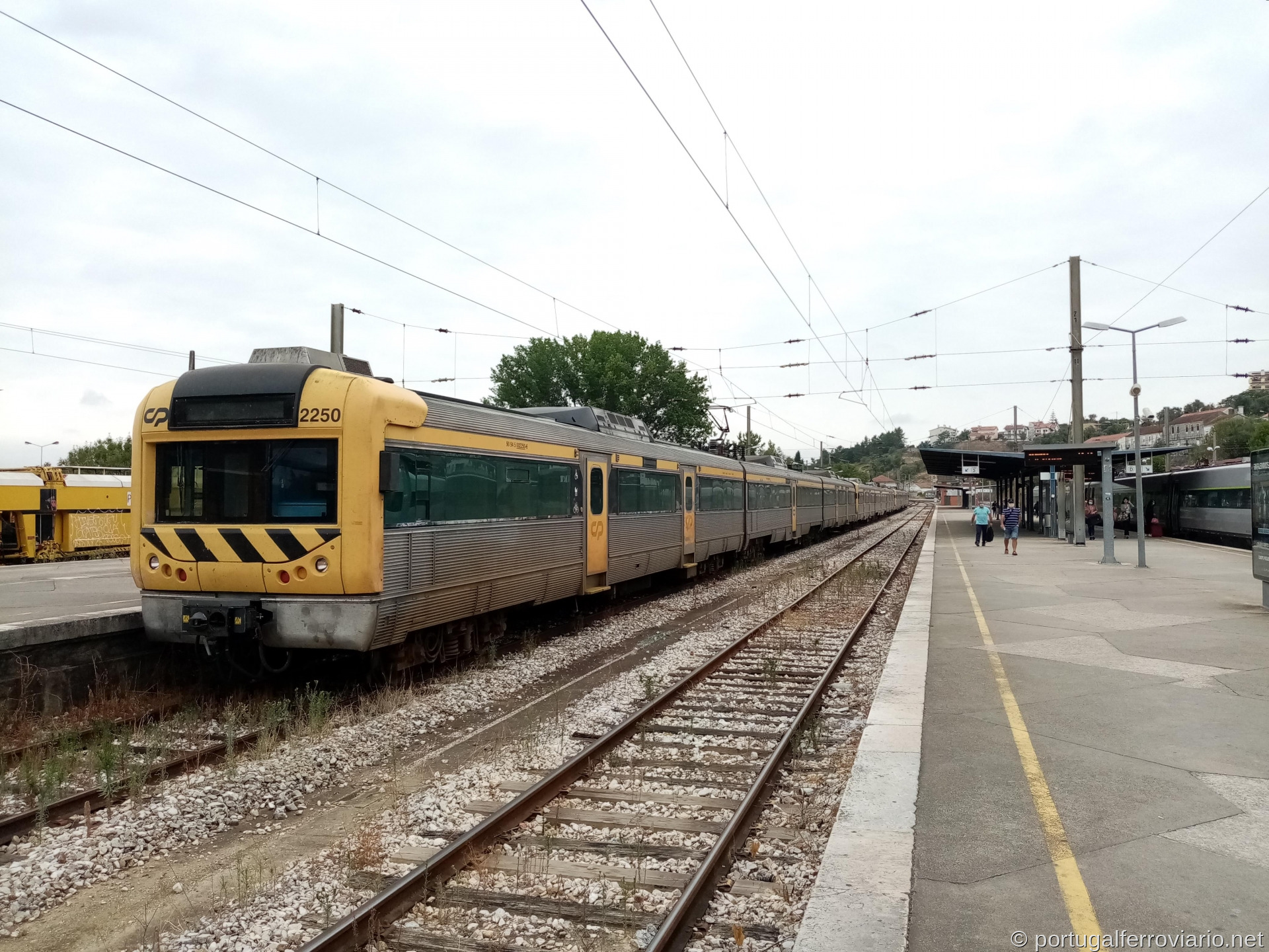 CP 2250