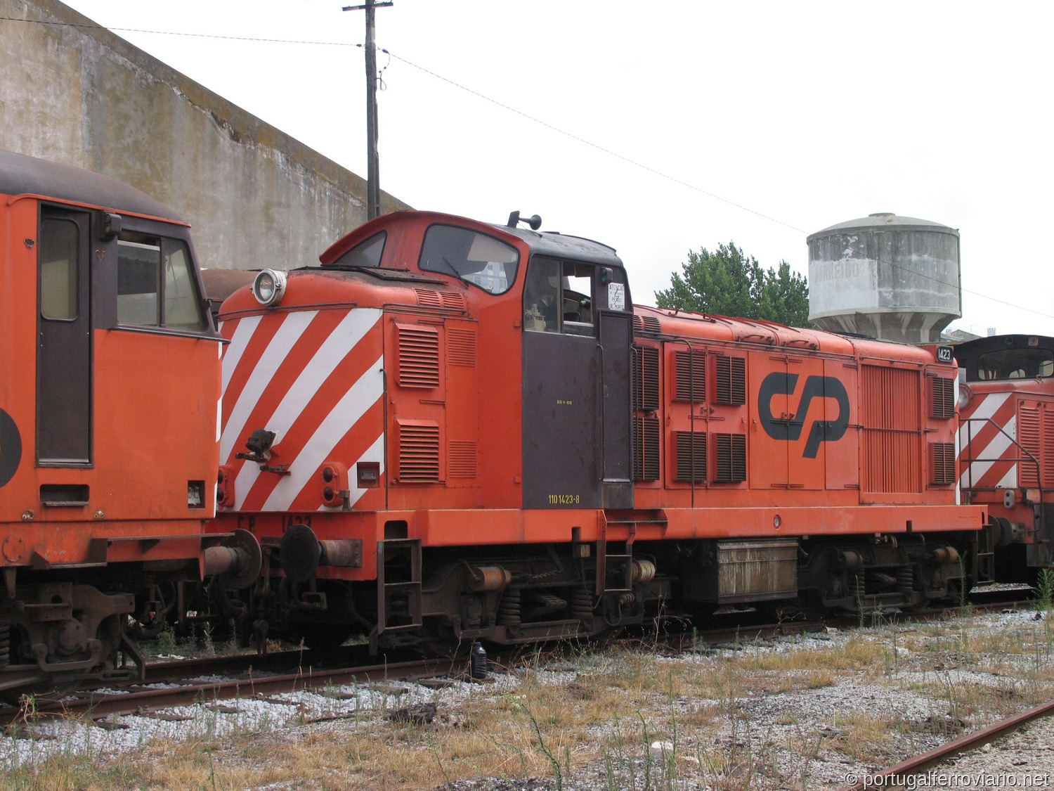 Barreiro, 2005