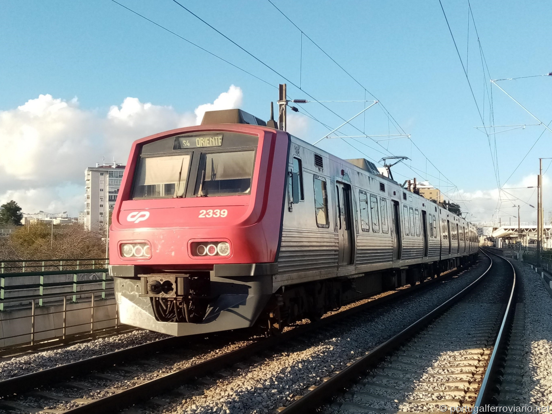 CP 2339
