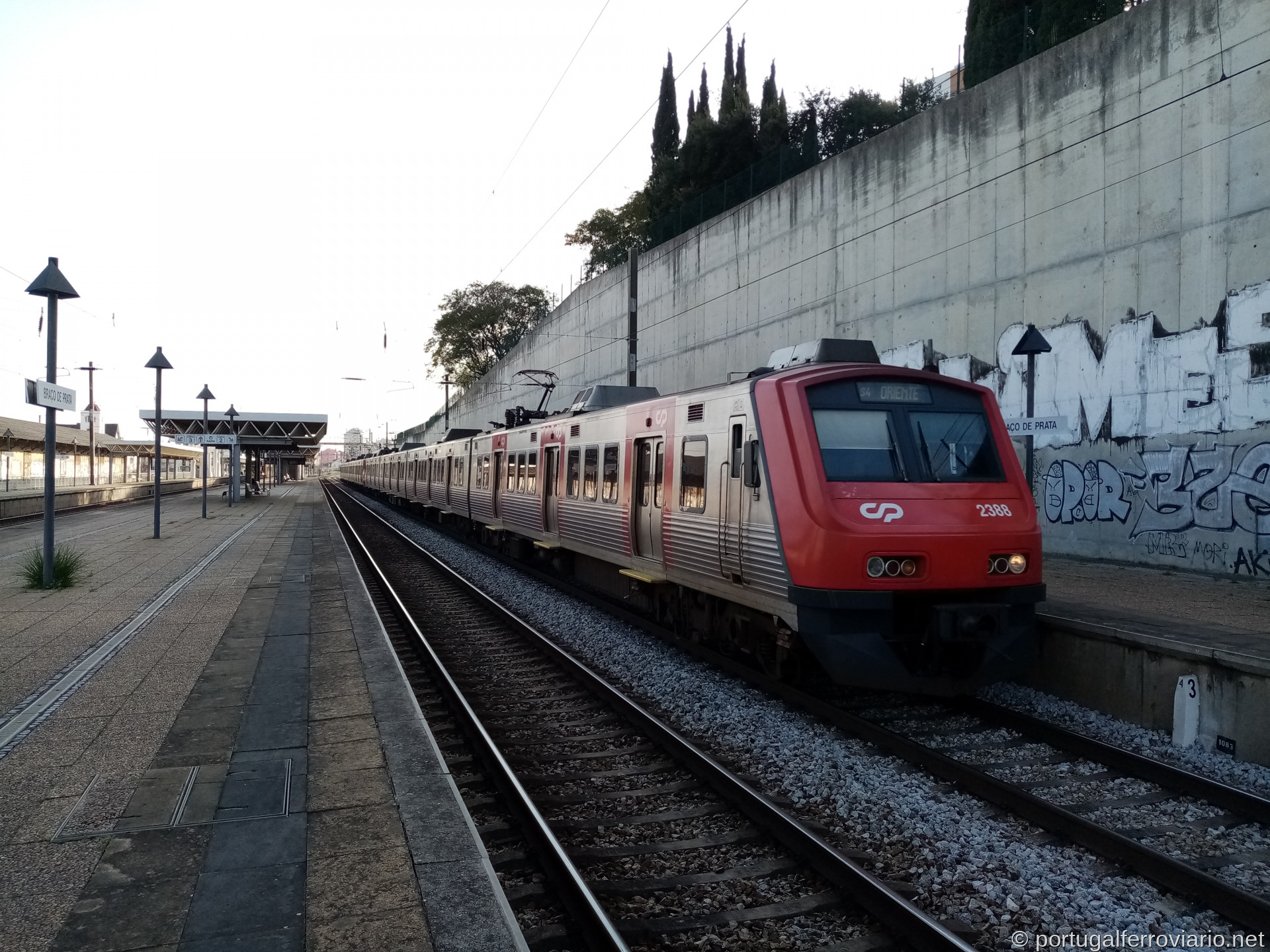 CP 2338