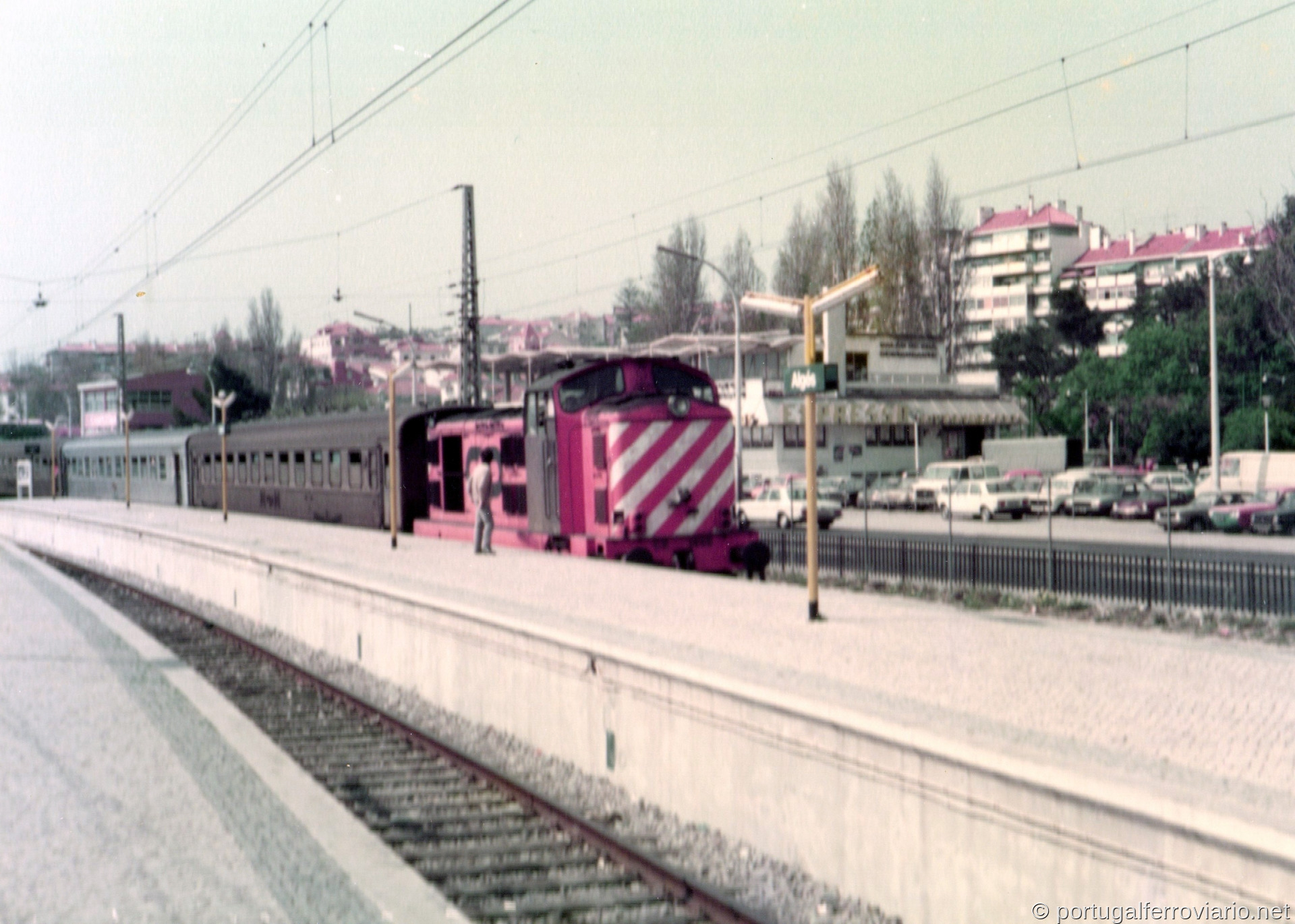 ALGÉS 1980