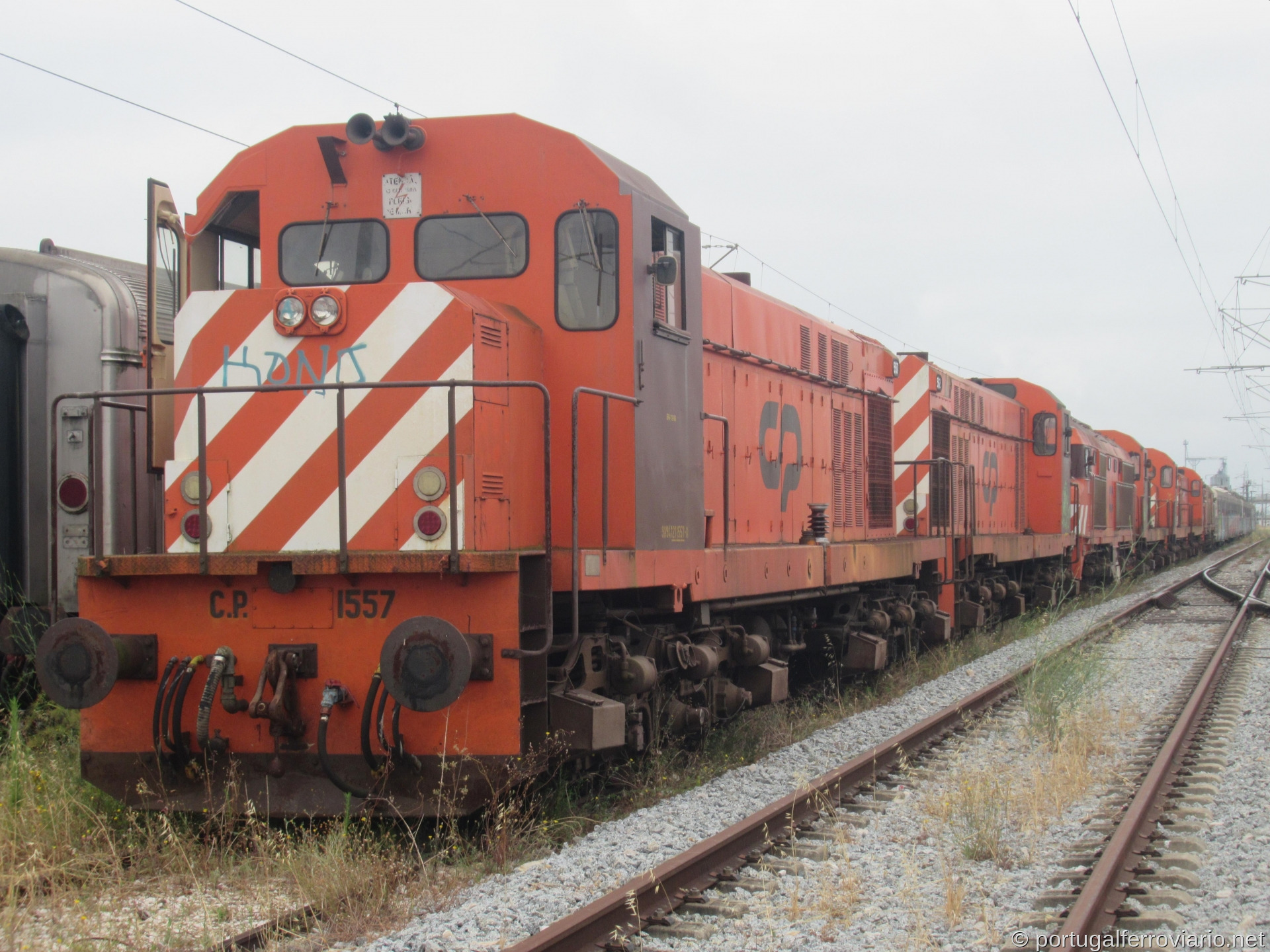 CP 1557