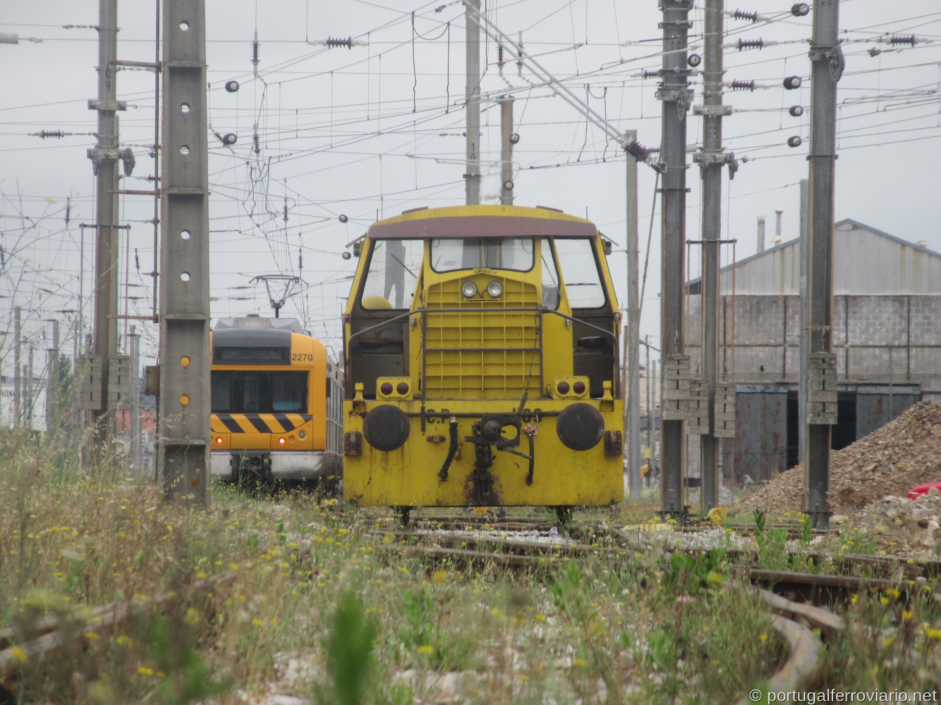 CP 1169