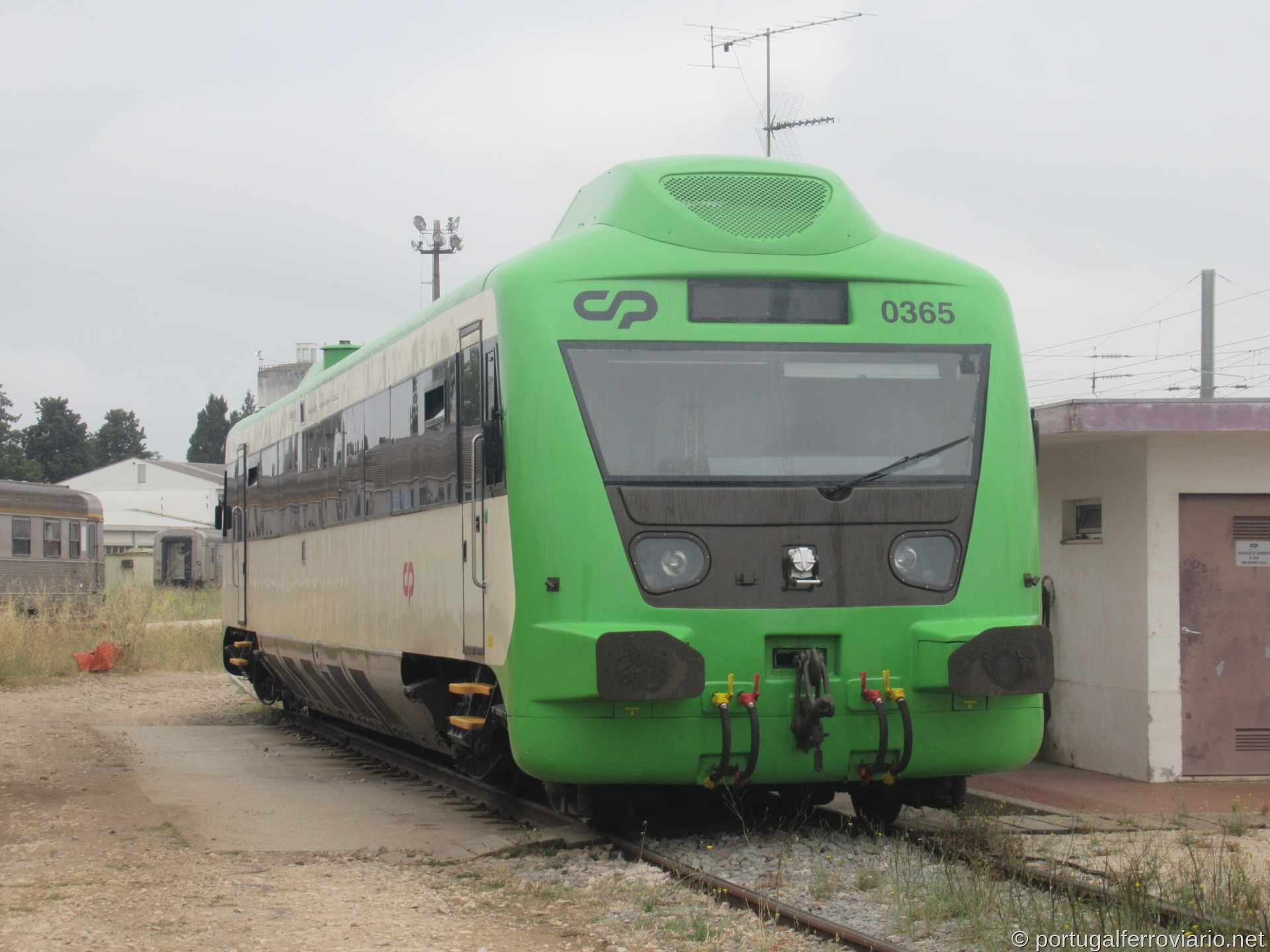 CP 0365