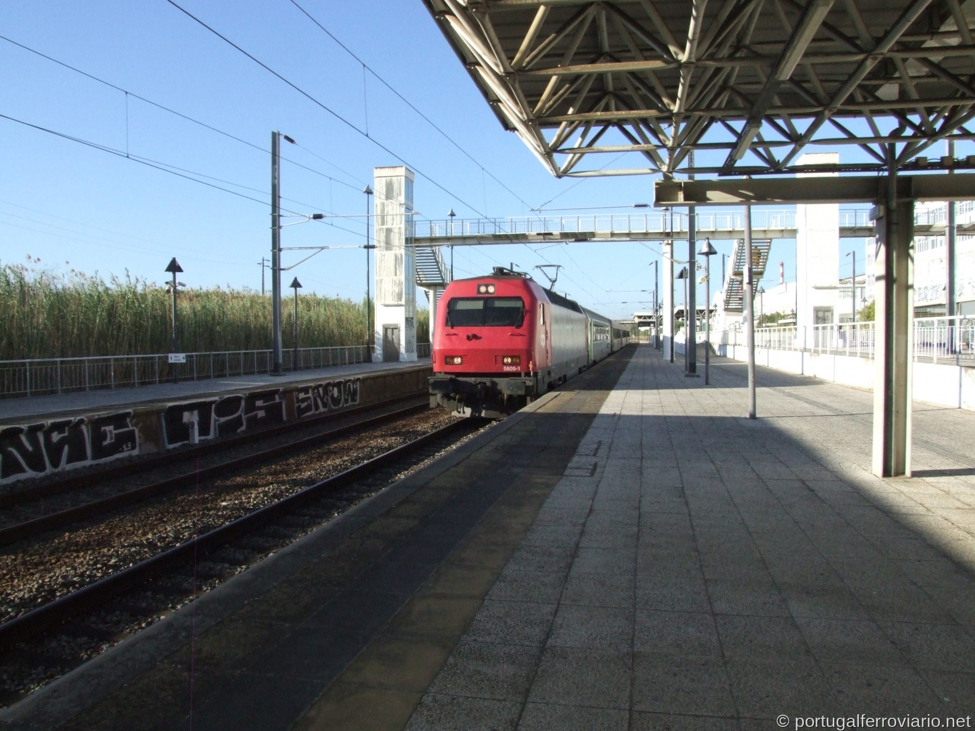 CP 5609