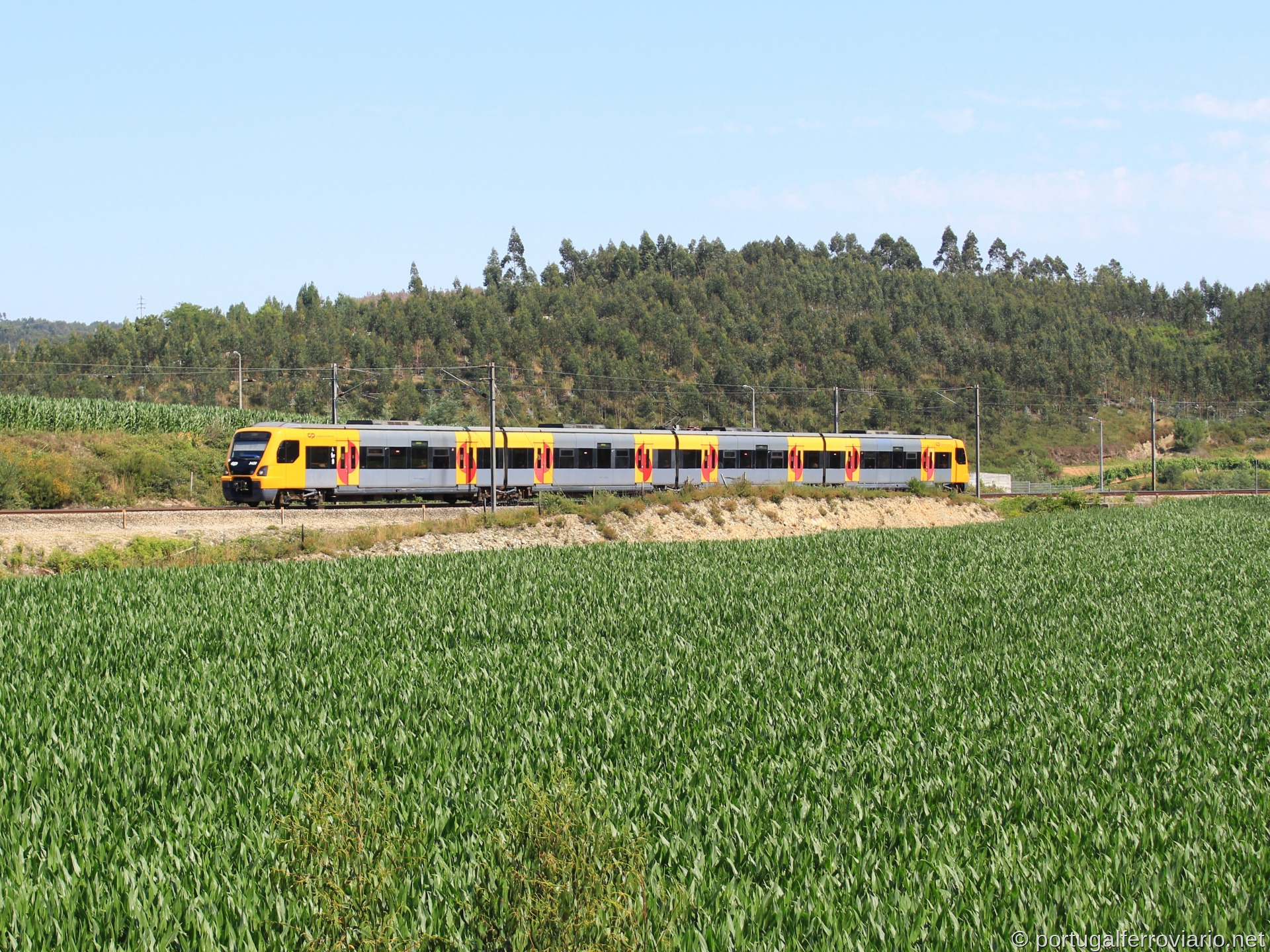 3420 na Portela