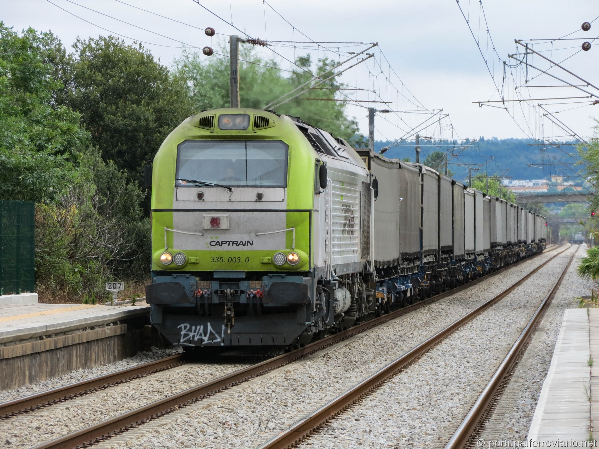 5003 | Especial 98202 | Ameal