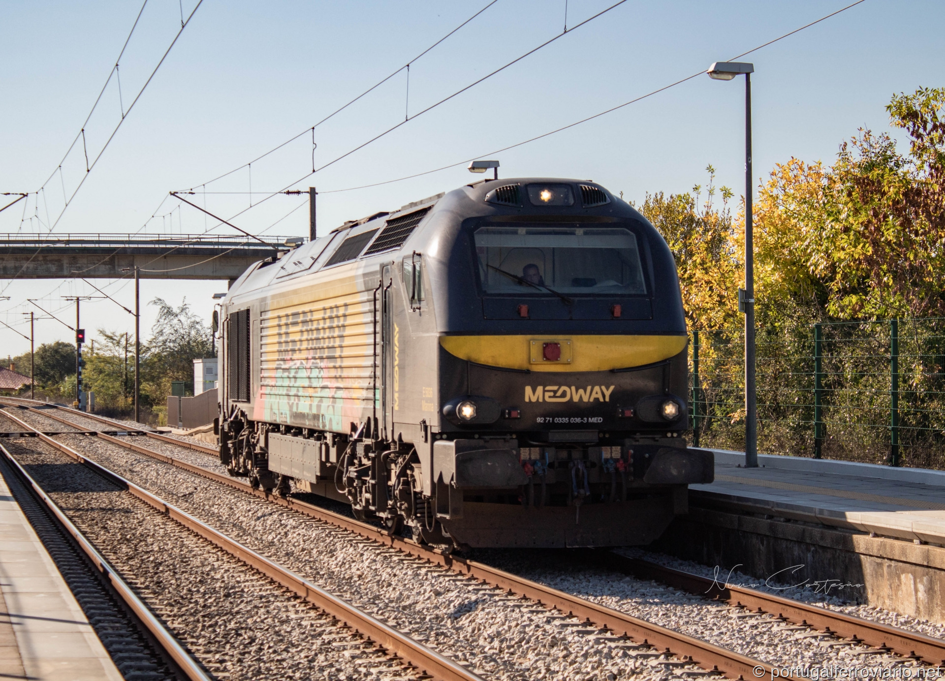 Medway 5036 | Especial 95239 | Ameal