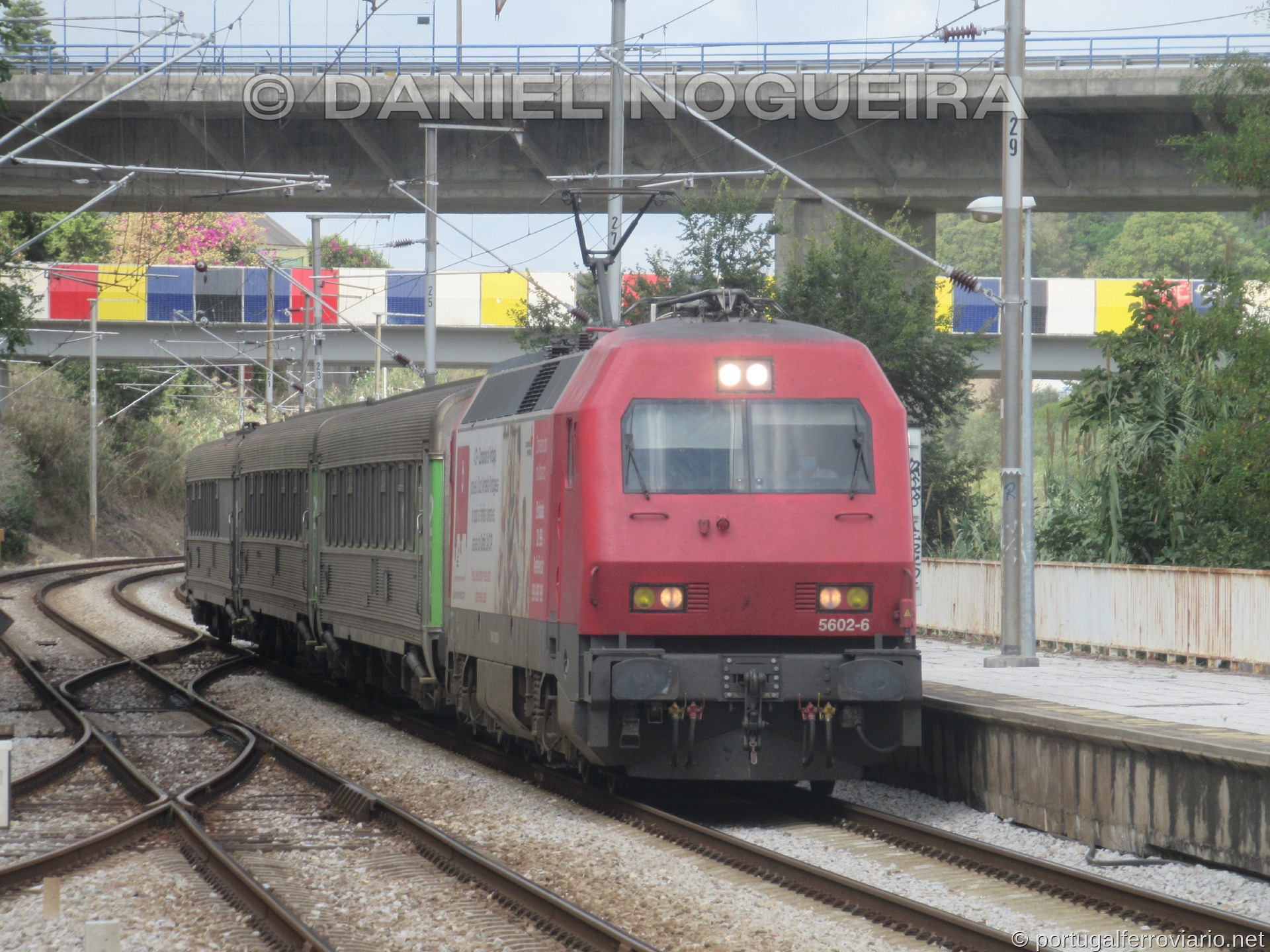 CP 5602
