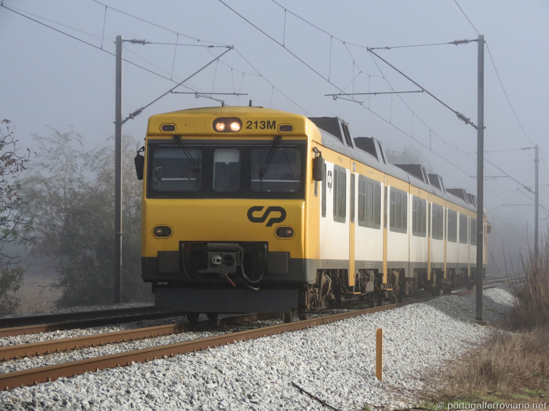 CP 592.207 | IR 800 | Reveles