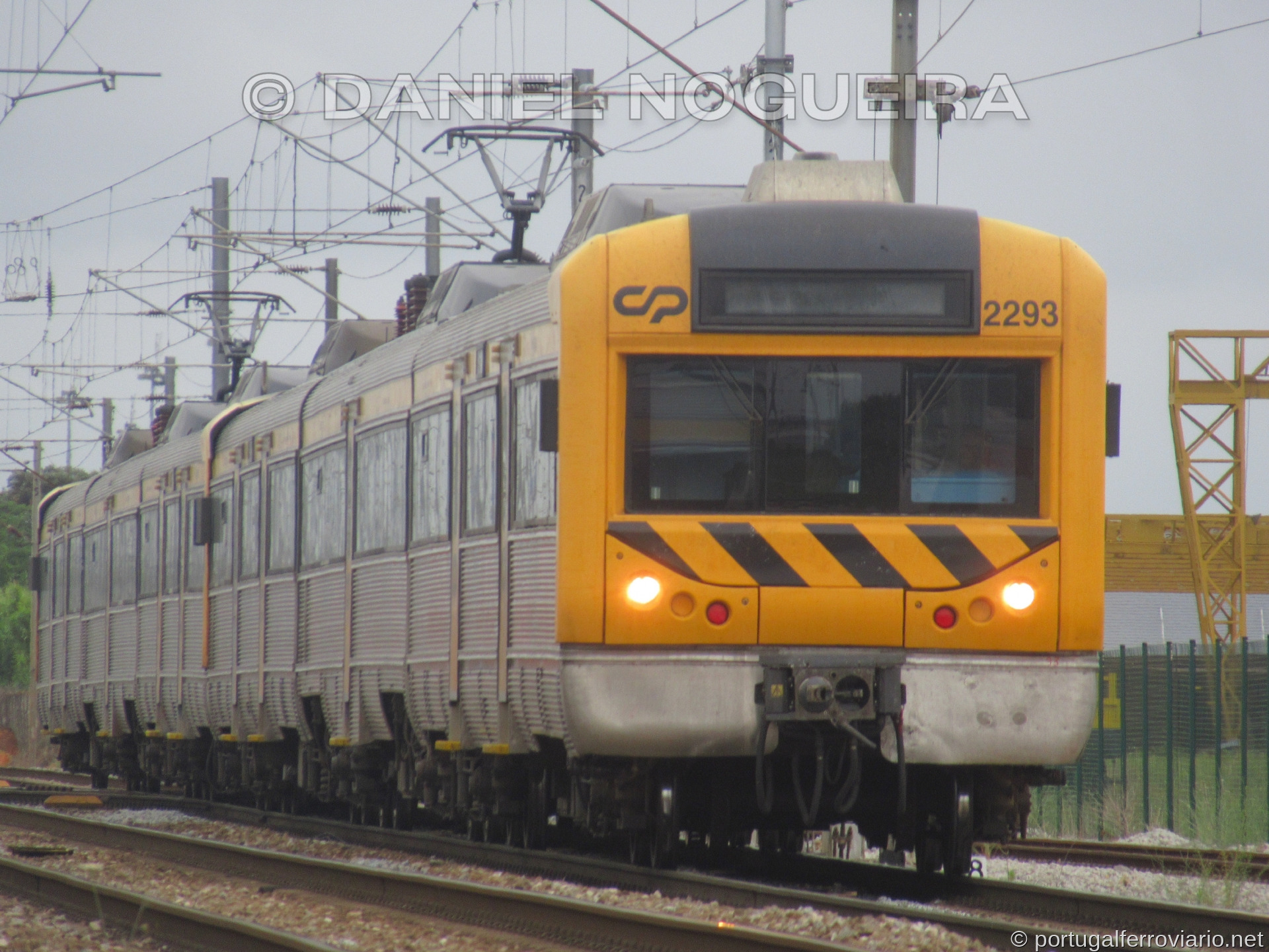 CP 2293