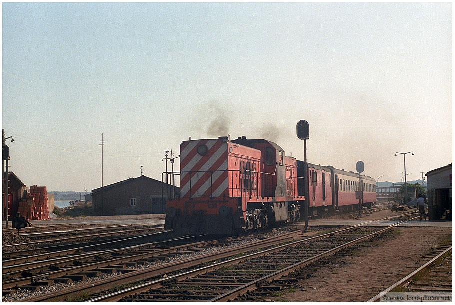 1309 Barreiro