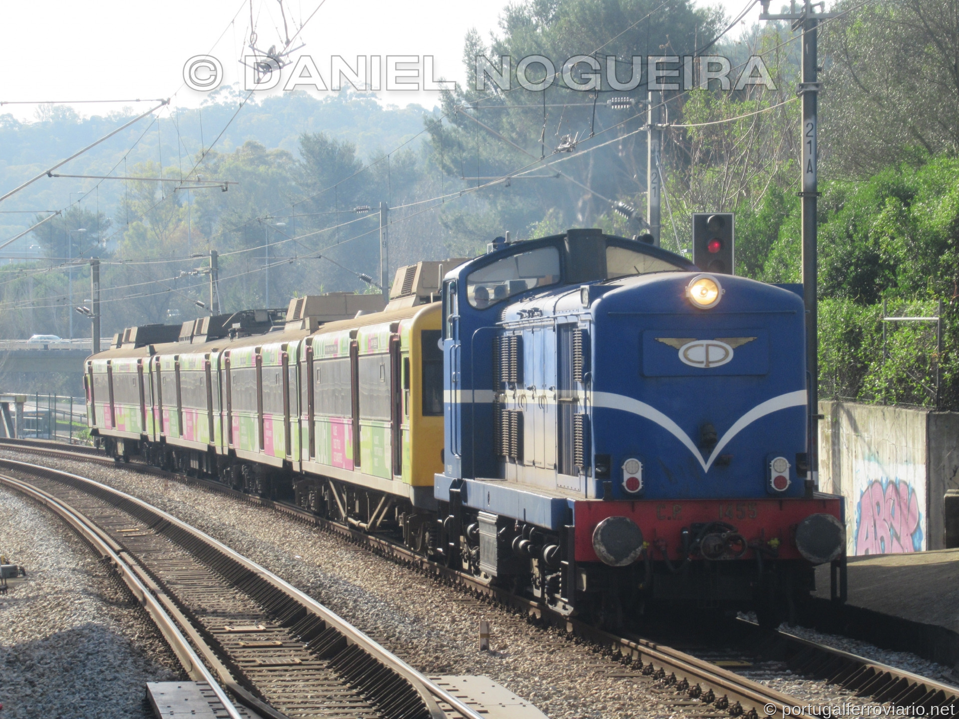 CP 1455