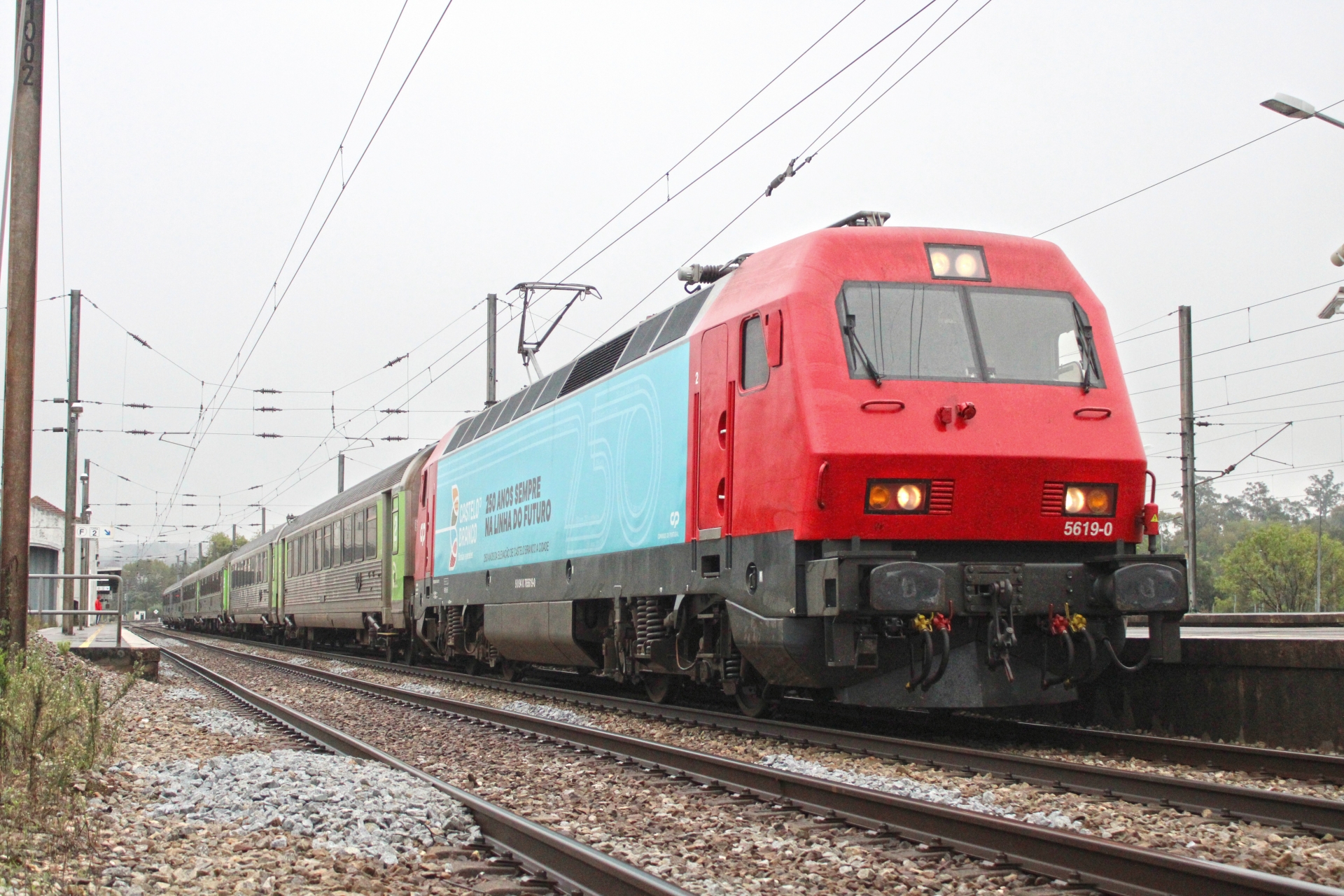 LE 5619