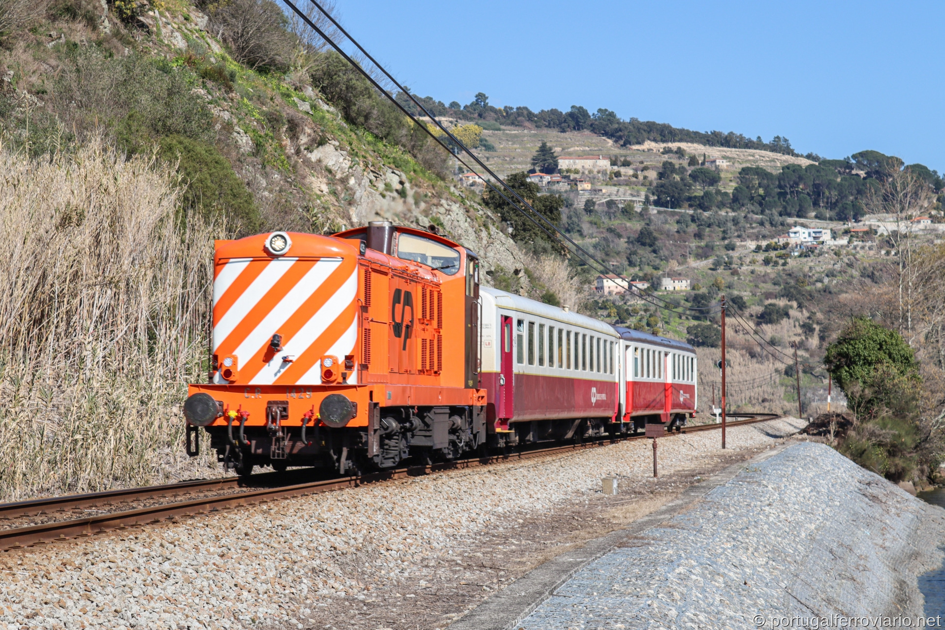 CP 1429