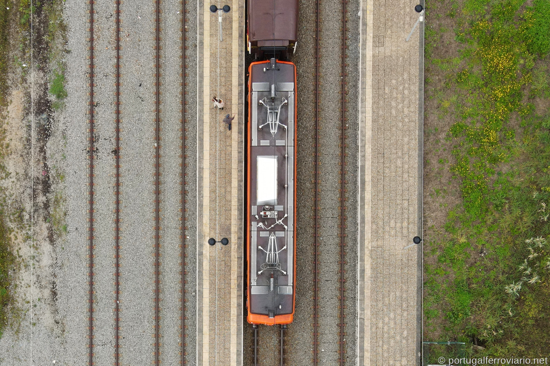 CP 2607