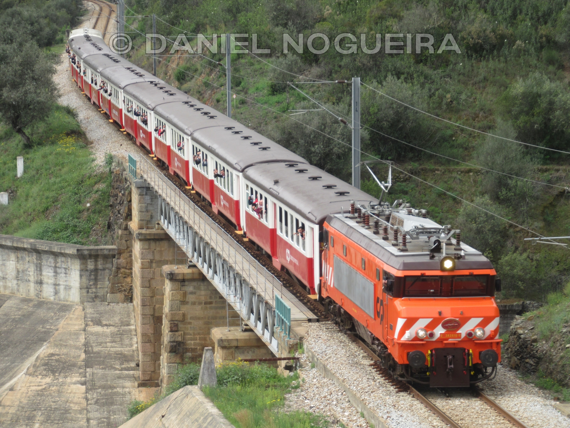 Daniel Nogueira