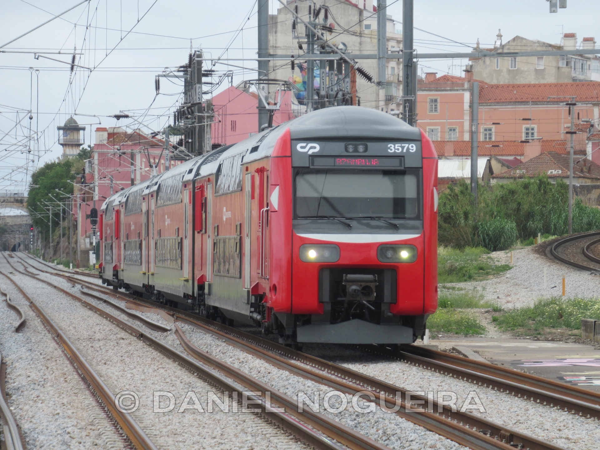 CP 3529