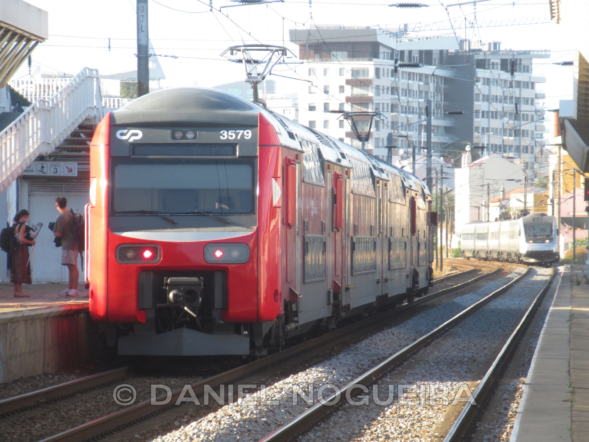CP 3529