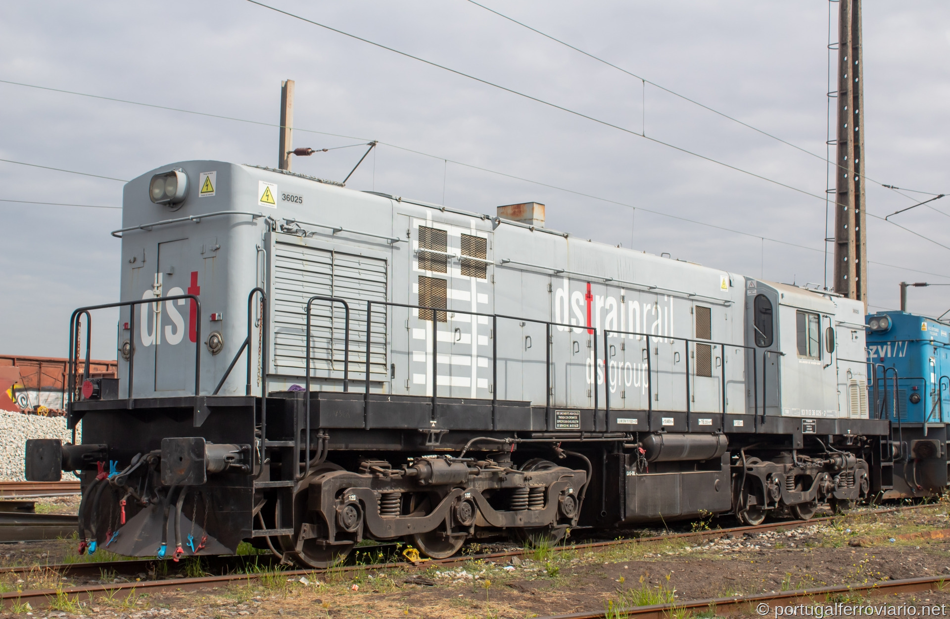 dsTrainRail 313.007