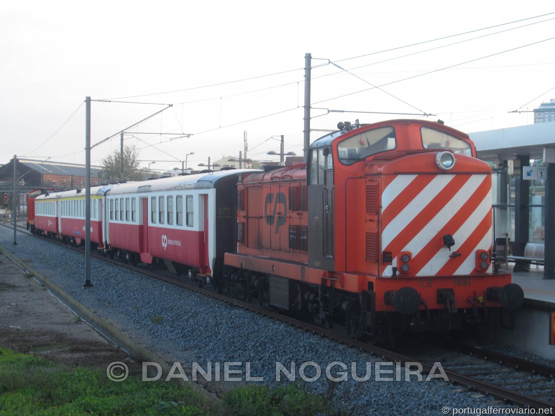 CP 1461