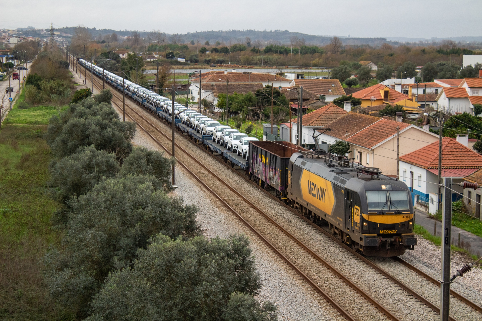 4716 com o Pecovasa 80811