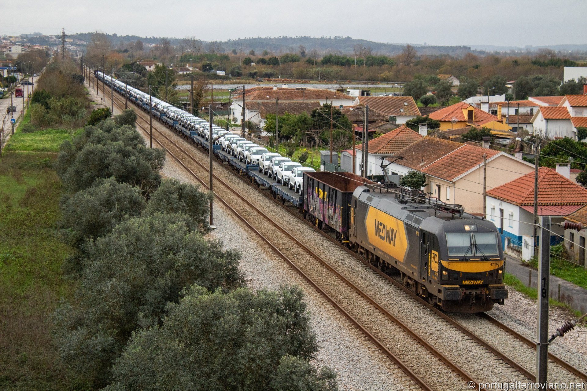 4716 com o Pecovasa 80811
