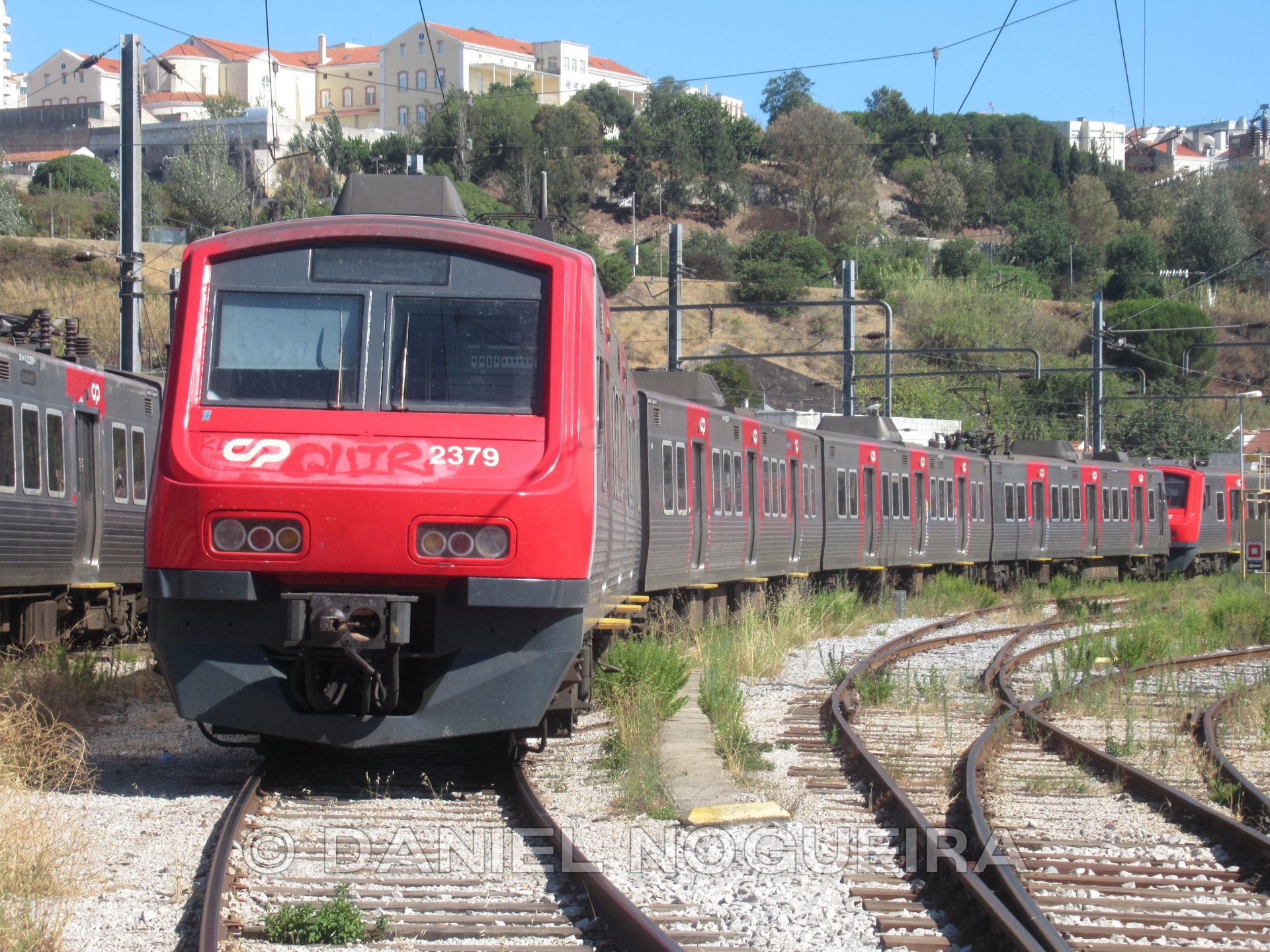 CP 2329
