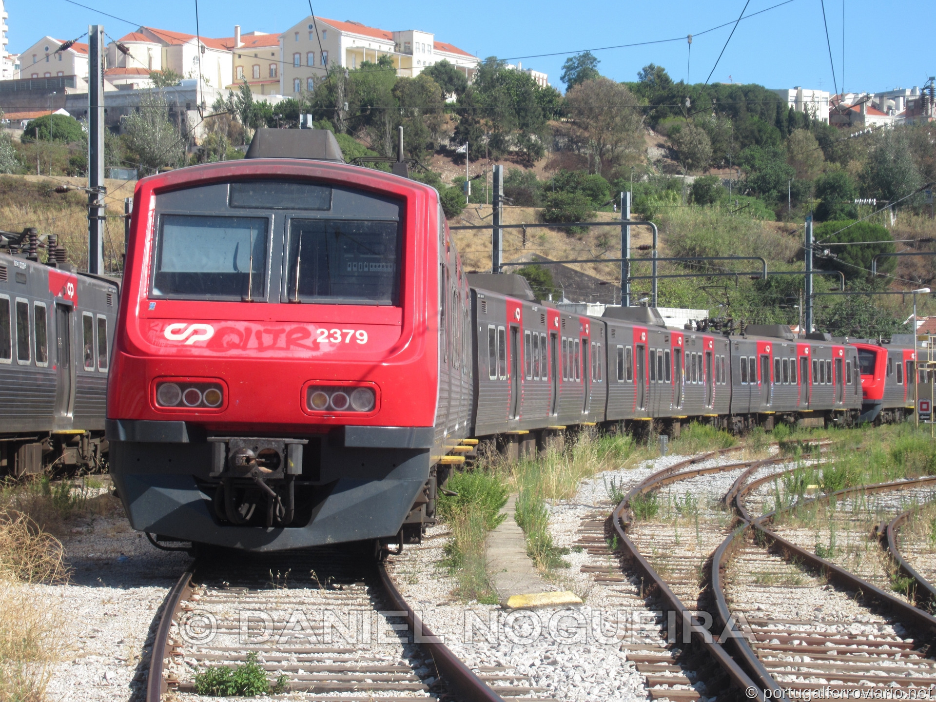 CP 2329