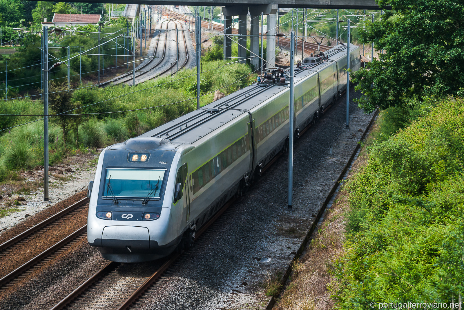 4002 Alfa Pendular