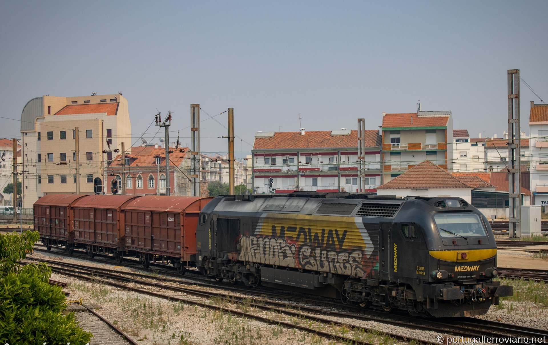 Stadler 5036