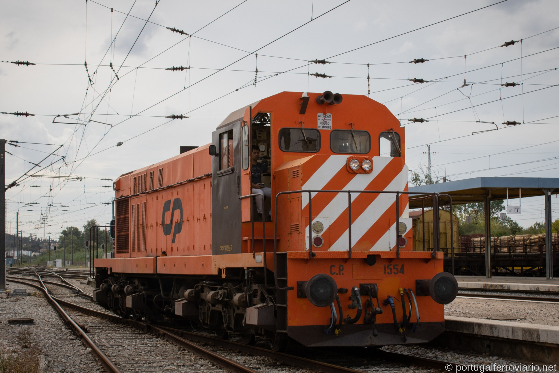 MLW 1554
