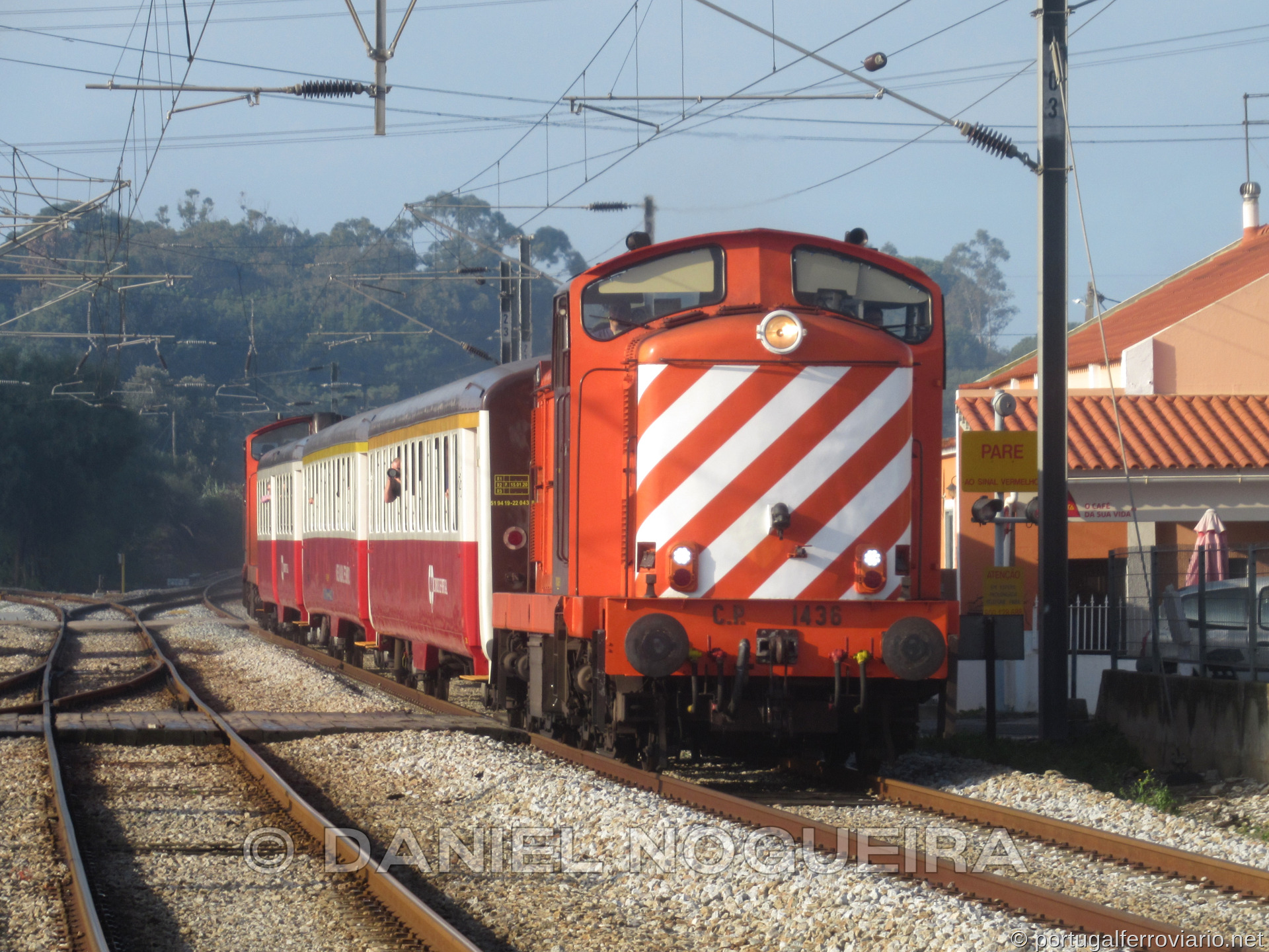 CP 1436
