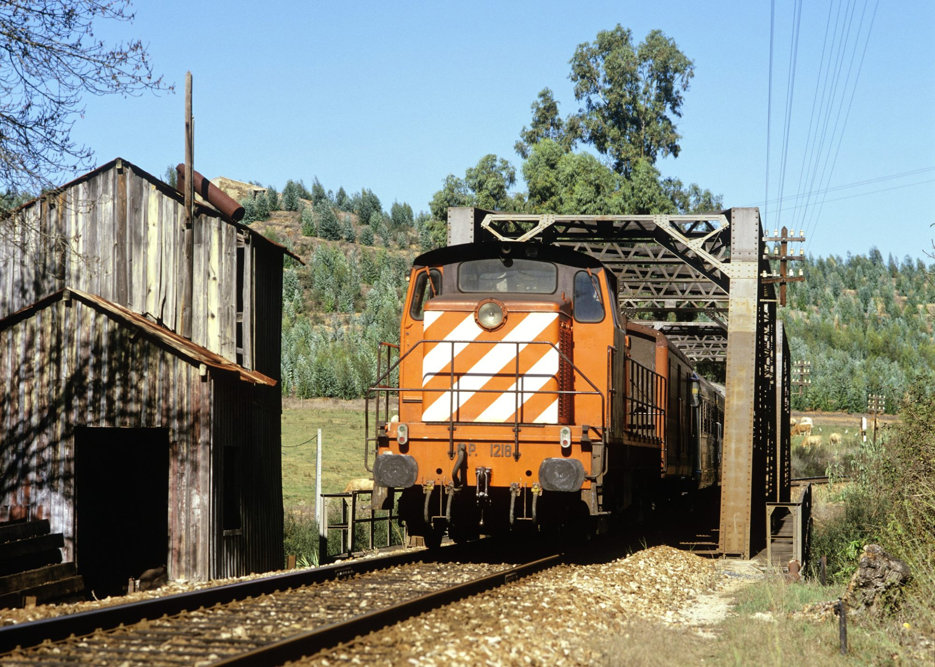 Santa Clara · Regional