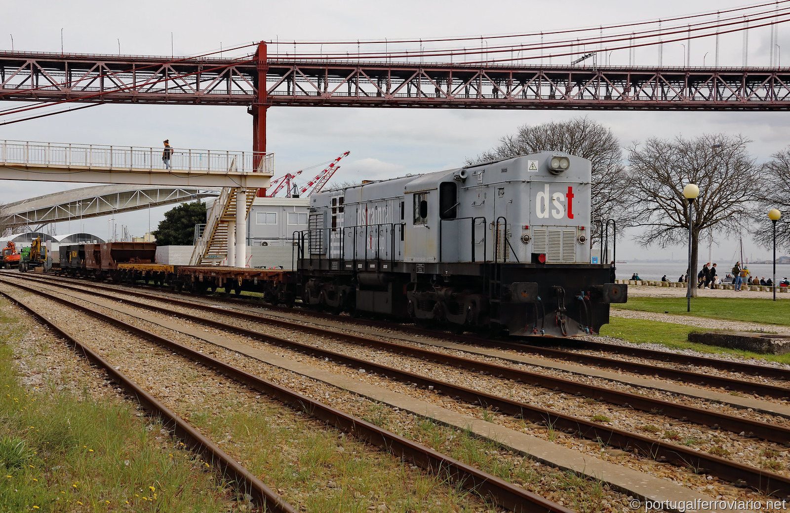 DSTrainrail 36025