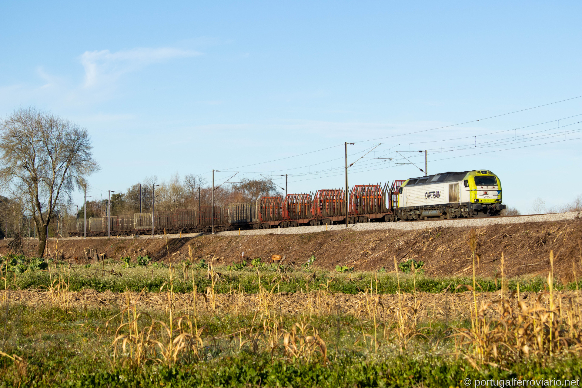 5002 em Arzila