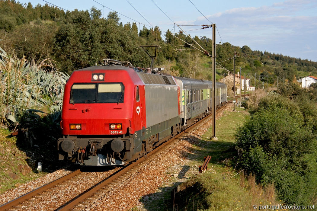 5619