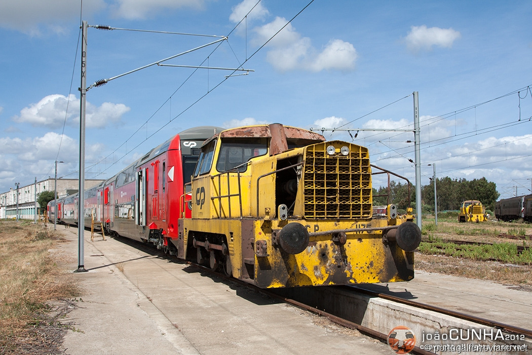 CP 1175