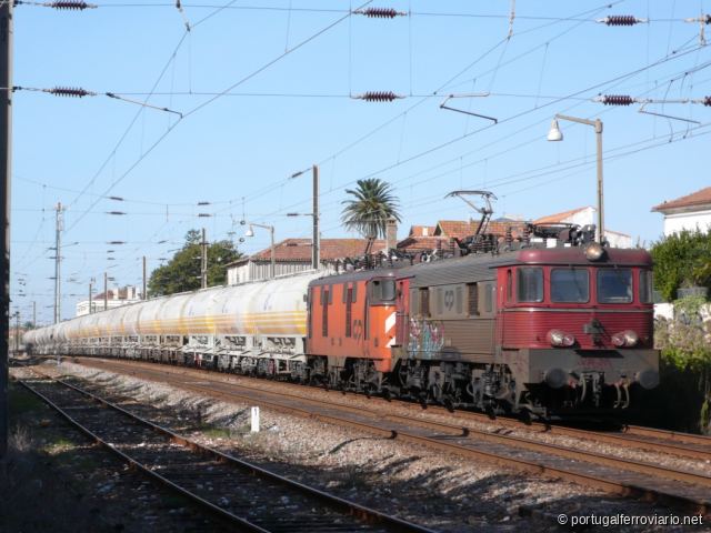 gibmonteiro